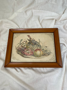 antique framed etching; bird & fruit