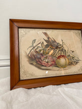 Load image into Gallery viewer, antique framed etching; bird &amp; fruit
