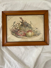 Load image into Gallery viewer, antique framed etching; bird &amp; fruit
